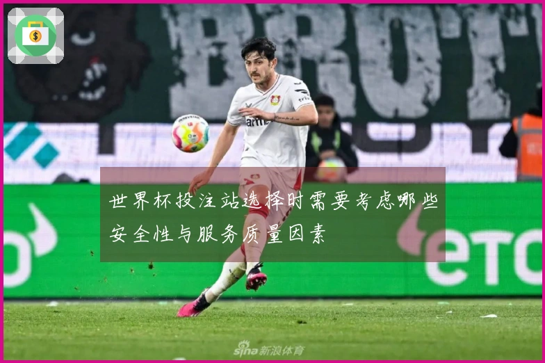 世界杯投注站选择时需要考虑哪些安全性与服务质量因素