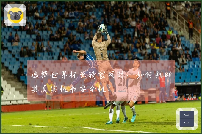 选择世界杯竞猜官网时，如何判断其真实性和安全性？