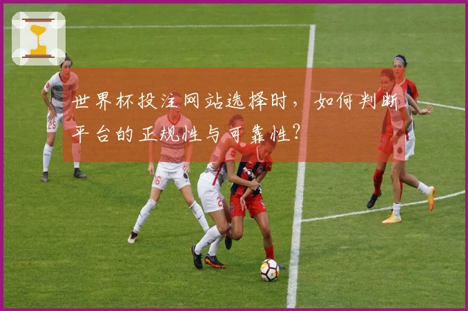 世界杯投注网站选择时，如何判断平台的正规性与可靠性？