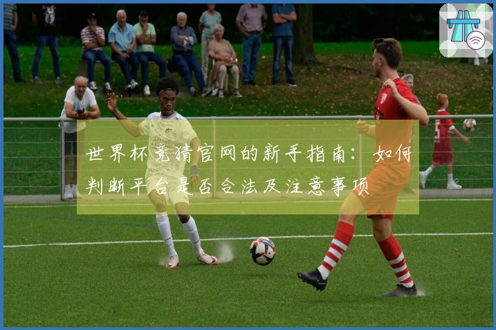 世界杯竞猜官网的新手指南：如何判断平台是否合法及注意事项