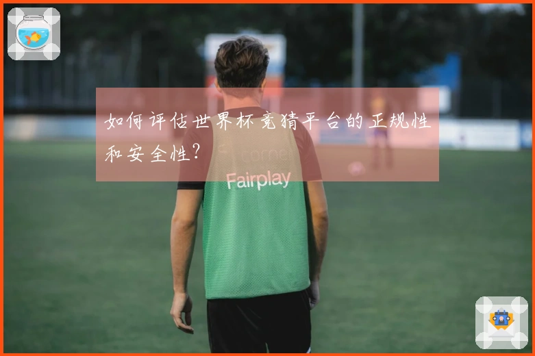 如何评估世界杯竞猜平台的正规性和安全性？