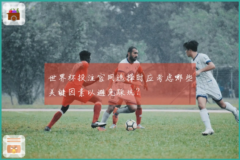 世界杯投注官网选择时应考虑哪些关键因素以避免踩坑？