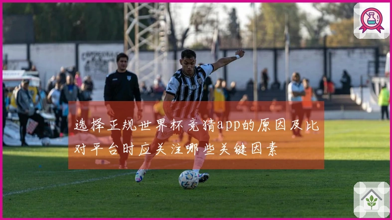 选择正规世界杯竞猜app的原因及比对平台时应关注哪些关键因素