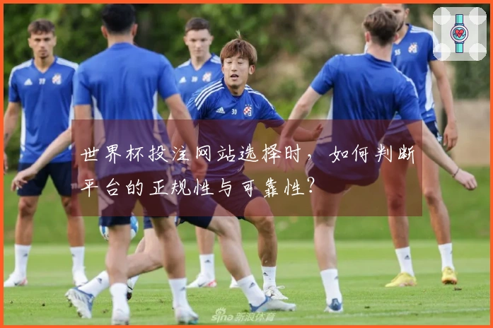 世界杯投注网站选择时，如何判断平台的正规性与可靠性？
