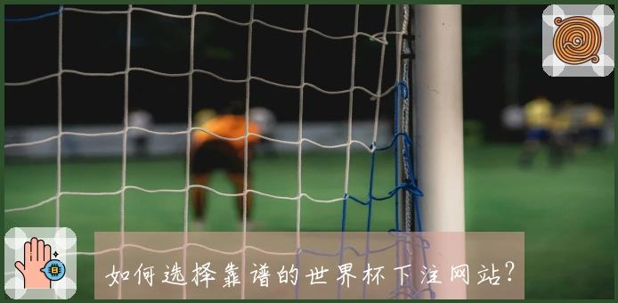 如何选择靠谱的世界杯下注网站？这几点你一定要注意