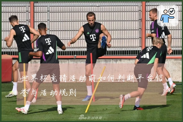 世界杯竞猜活动前如何判断平台信誉与活动规则