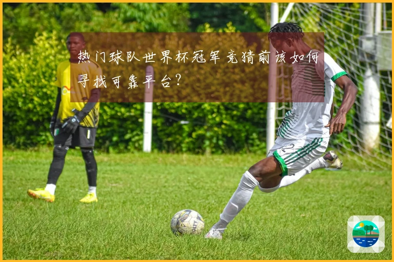 热门球队世界杯冠军竞猜前该如何寻找可靠平台？