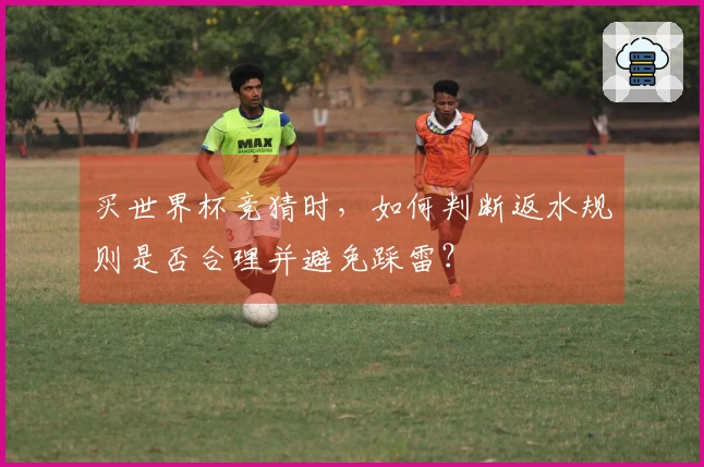 买世界杯竞猜时，如何判断返水规则是否合理并避免踩雷？