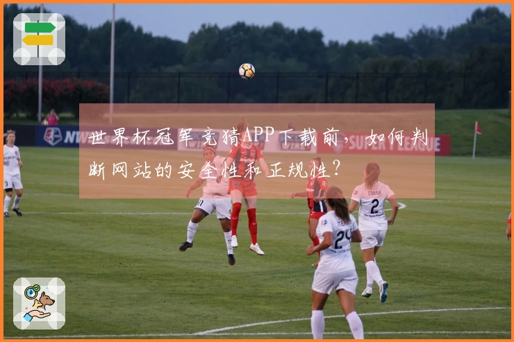 世界杯冠军竞猜APP下载前，如何判断网站的安全性和正规性？