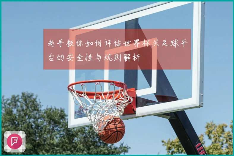 老手教你如何评估世界杯买足球平台的安全性与规则解析