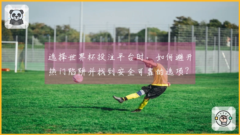 选择世界杯投注平台时，如何避开热门陷阱并找到安全可靠的选项？