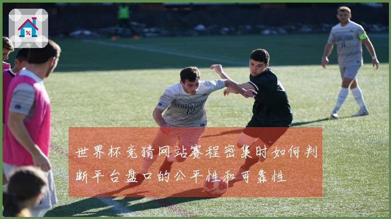世界杯竞猜网站赛程密集时如何判断平台盘口的公平性和可靠性