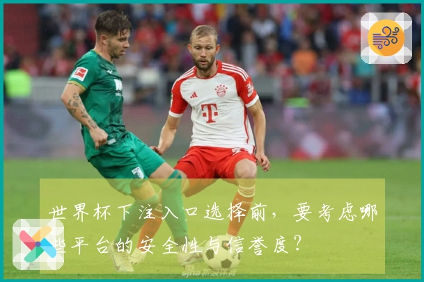 世界杯下注入口选择前，要考虑哪些平台的安全性与信誉度？
