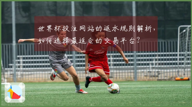 世界杯投注网站的返水规则解析，如何选择最适合的交易平台？