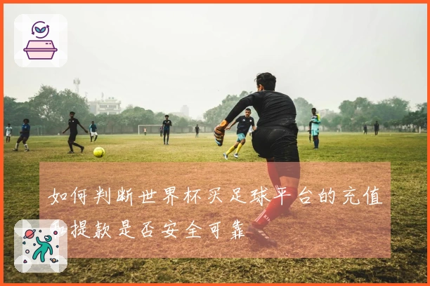 如何判断世界杯买足球平台的充值和提款是否安全可靠