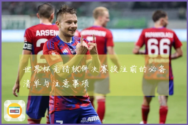 世界杯竞猜软件决赛投注前的必备清单与注意事项