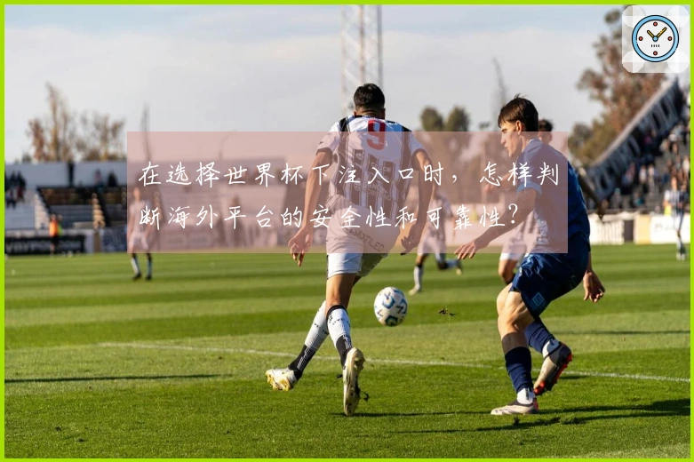 在选择世界杯下注入口时，怎样判断海外平台的安全性和可靠性？