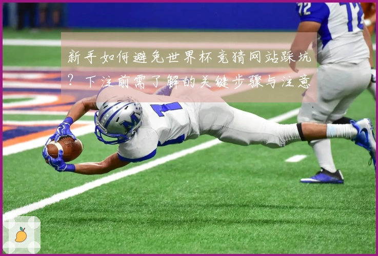 新手如何避免世界杯竞猜网站踩坑？下注前需了解的关键步骤与注意事项